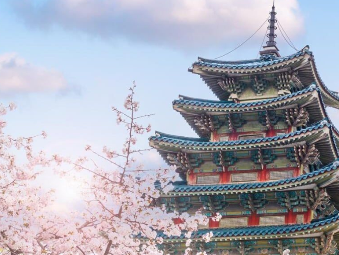 TOUR DU LỊCH HÀN QUỐC 5 NGÀY 4 ĐÊM