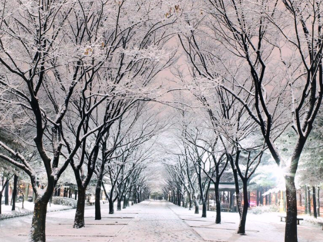 TOUR DU LỊCH HÀN QUỐC 5N4D: SEOUL - NAMI - EVERLAND - TRƯỢT TUYẾT