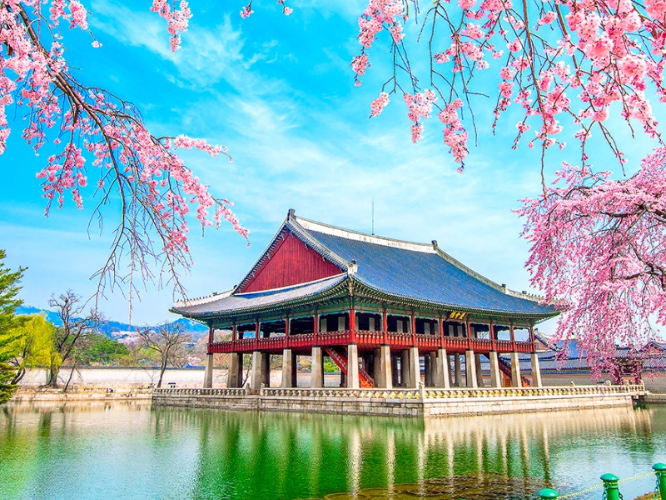 TOUR DU LỊCH HÀN QUỐC SEOUL - NAMI - EVERLAND HOA ANH ĐÀO