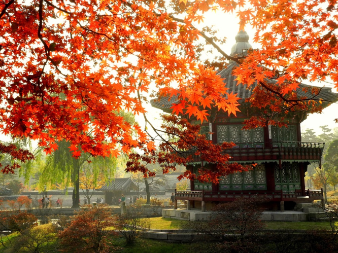 TOUR DU LỊCH HÀN QUỐC: SEOUL - NAMI - EVERLAND MÙA LÁ ĐỎ