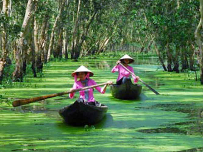 TOUR DU LỊCH MIỀN TÂY: QUẦN ĐẢO BÀ LỤA - RỪNG TRÀM TRÀ SƯ