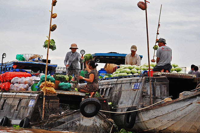 DU LỊCH CÀ MAU 3 NGÀY 2 ĐÊM: ĐẤT MŨI CÀ MAU Du Lịch Miền Tây-1
