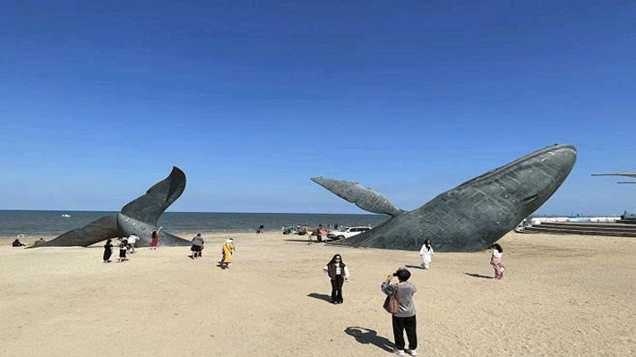 THANH ĐẢO - BỒNG LAI - YÊN ĐÀI - UY HẢI 5N5Đ NO SHOPPING [NEW] Tour Du Lịch Trung Quốc-1