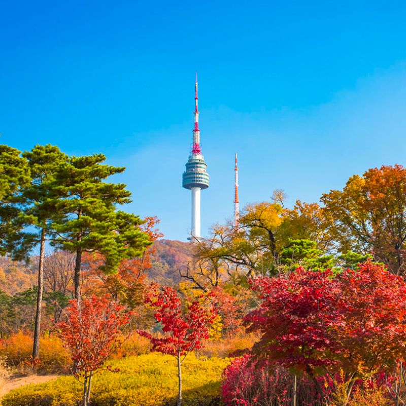 TOUR DU LỊCH HÀN QUỐC 5N4D: SEOUL - NAMI - EVERLAND - TRƯỢT TUYẾT Tour Du Lịch Hàn Quốc-1