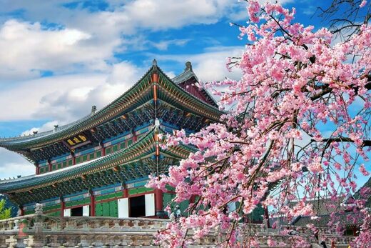 Tour Hàn Quốc Seoul - Đảo Nami - Everland 5 Ngày 4 Đêm Bay Vietjet Air (khởi Hành Bay Tối)