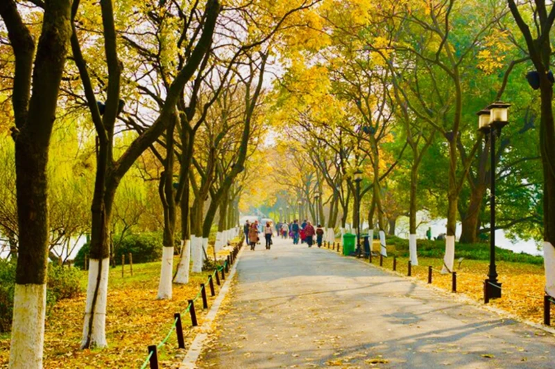 Ngày 4