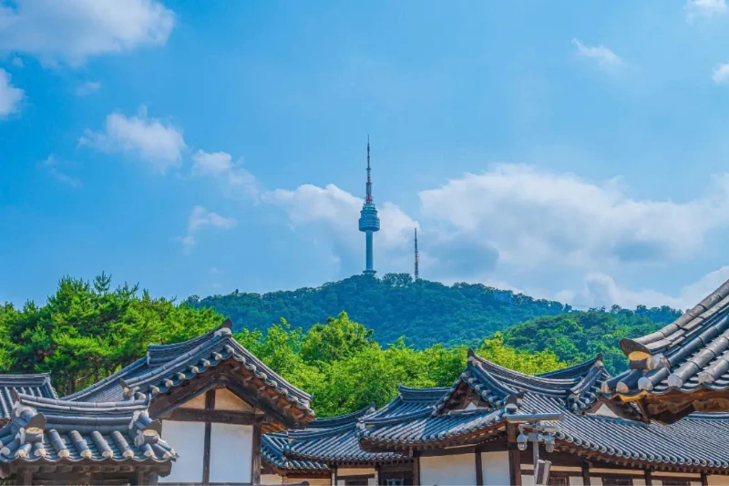 Tour Hàn Quốc Mùa Đông 5N4Đ: Trượt Tuyết, Sauna Hàn Quốc & Lotte World