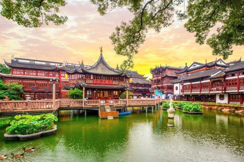 Ngày 6