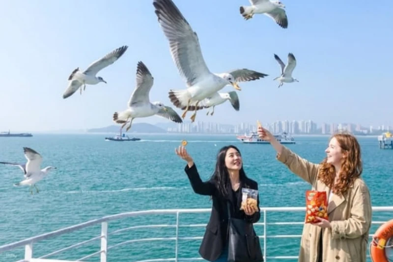 Tour Hàn Quốc 2026: Seoul - Nami - Everland 5N4Đ Bay Vietnam Airlines