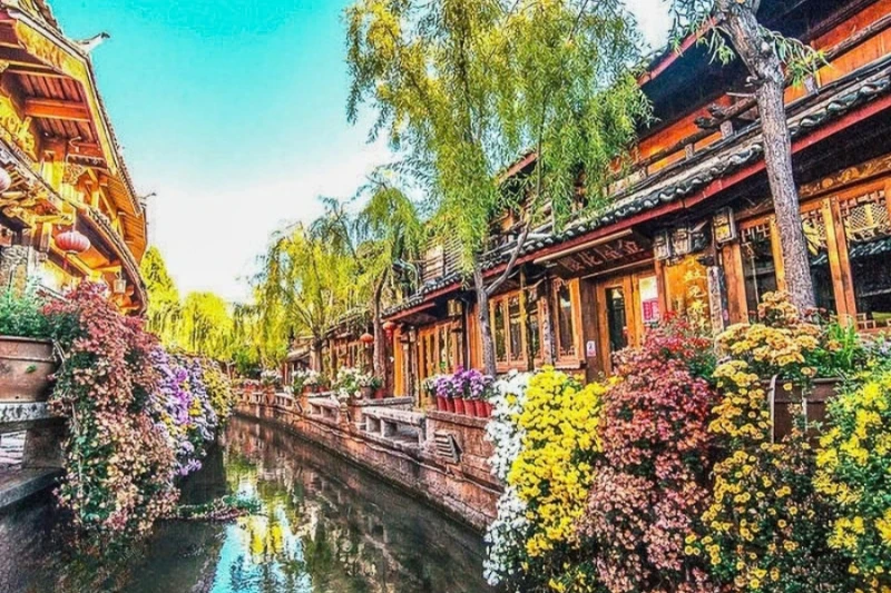 Ngày 5