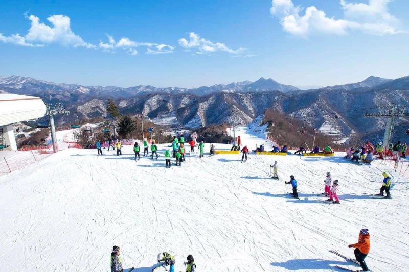 Tour Tết 2027 - Seoul - Nami - Lotte World - 5N4D - Bay Vietnam Airlines