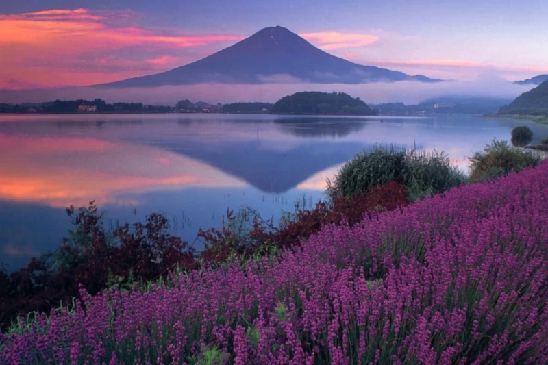 Osaka - Kobe - Kyoto - Toyohashi - Fuji - Tokyo 6 Ngày 5 Đêm Bay Vietnam Airlines