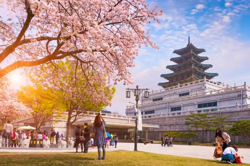 Tour Hàn Quốc 6 Ngày 5 Đêm: Busan - Gyeongju - Seoul - Đảo Nami Bay Vietnam Airlines
