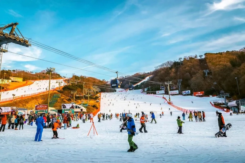 Tour Hàn Quốc Mùa Đông 5N4Đ: Trượt Tuyết, Sauna Hàn Quốc & Lotte World