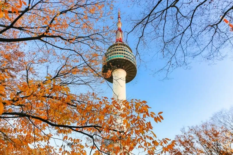 Tour Hàn Quốc Seoul - Đảo Nami - Everland 5 Ngày 4 Đêm Bay Vietjet Air (bay Trưa)