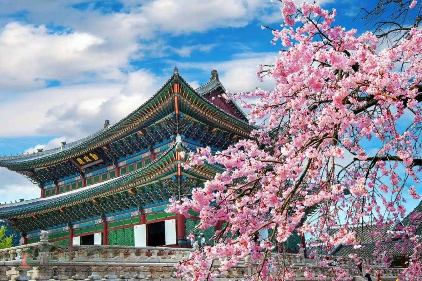 Tour Hàn Quốc Seoul - Đảo Nami - Everland 5 Ngày 4 Đêm Bay Vietjet Air (khởi Hành Bay Tối)