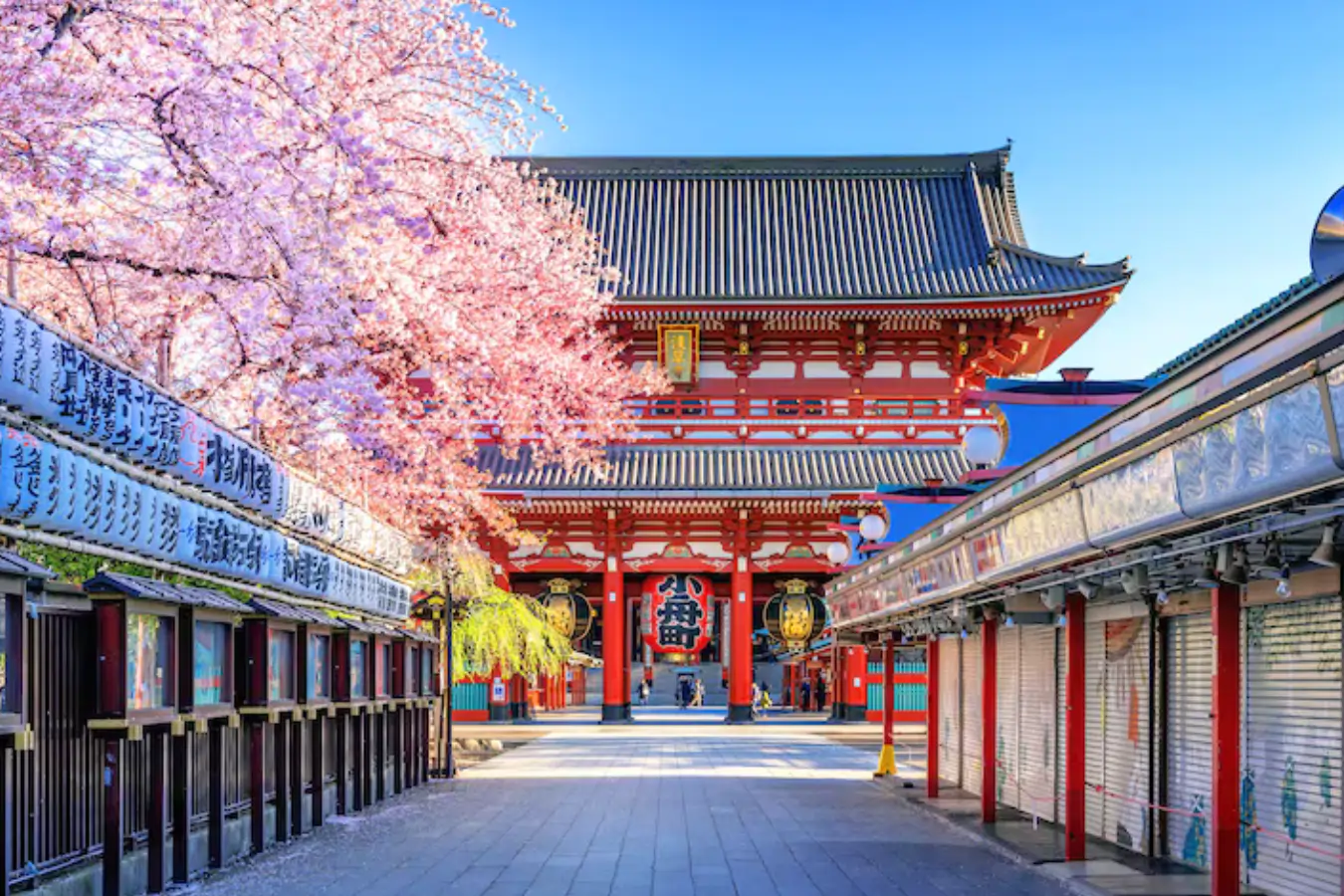 Tour Nhật Bản Cung Đường Vàng 6N5Đ: Tokyo – Núi Phú Sĩ – Rừng Tre Sagano – Kyoto – Osaka - Bay Vietjet Air