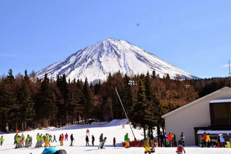 Tour Nhật Bản Mùa Đông 6N5Đ Dịp Tết Tây | Tokyo - Phú Sĩ - Kyoto - Osaka