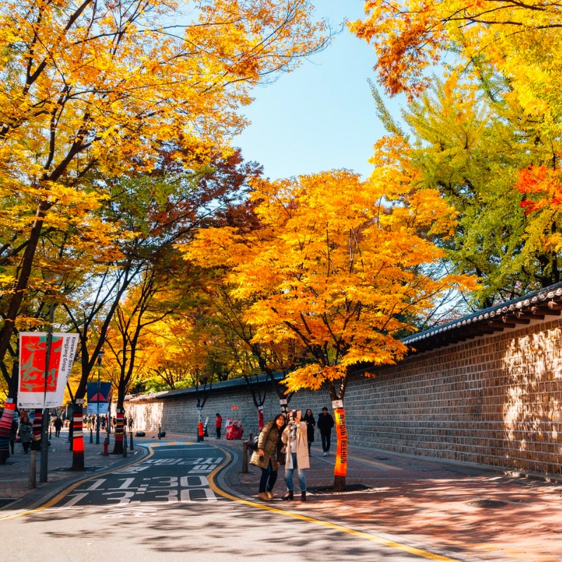 TOUR DU LỊCH HÀN QUỐC: SEOUL - NAMI - EVERLAND MÙA LÁ ĐỎ Tour Du Lịch Hàn Quốc-1