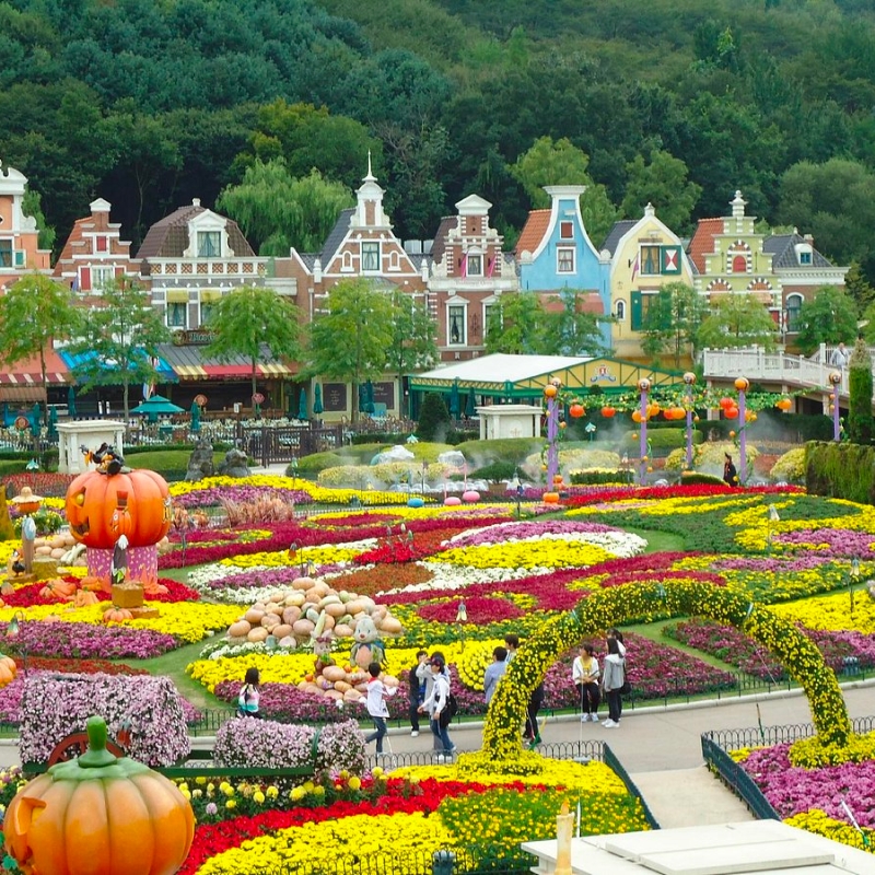 TOUR DU LỊCH HÀN QUỐC: SEOUL - NAMI - EVERLAND MÙA LÁ ĐỎ Tour Du Lịch Hàn Quốc-1