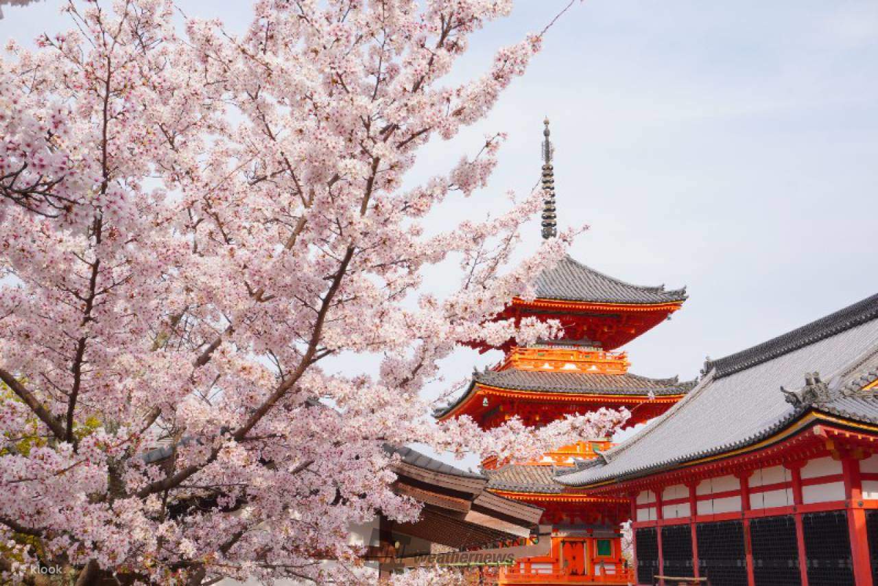 TOUR NHẬT BẢN | NARITA - NÚI PHÚ SĨ - NAGOYA - OSAKA 5N5Đ Tour Du Lịch Nhật Bản-1